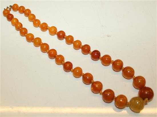 Amber necklace(-)